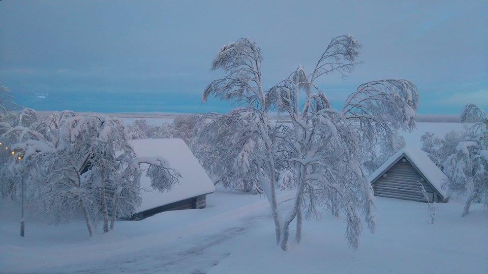 فيلا Leppäjärviفي Galdotieva-Seo المظهر الخارجي الصورة